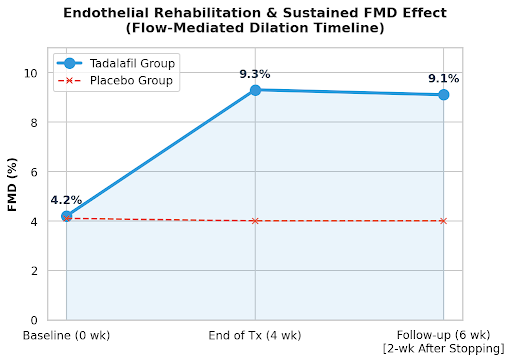 저용량 타다라필(Tadalafil 5mg) 데일리 요법의 혈관 내피세포 재활(Endothelial Rehabilitation) 기전 및 장기 지속성 분석